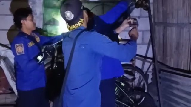 Damkar Amankan Ular Sanca Pemangsa Unggas di Mojo Kediri