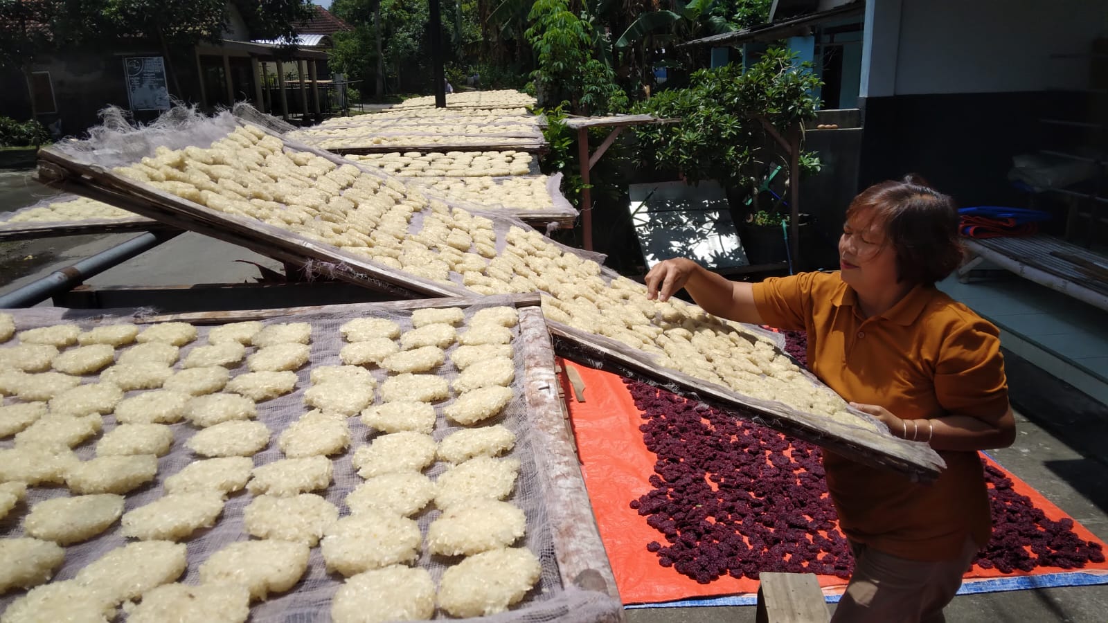 Jelang Lebaran, Produsen Rengginang di Blitar Kebanjiran Pesanan, Omzet Naik Dua Kali Lipat