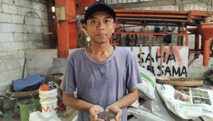 Dony Kristanto (31) seorang petani muda kangkung Kabupaten Jombang sukses membangun ekosistem pertanian.