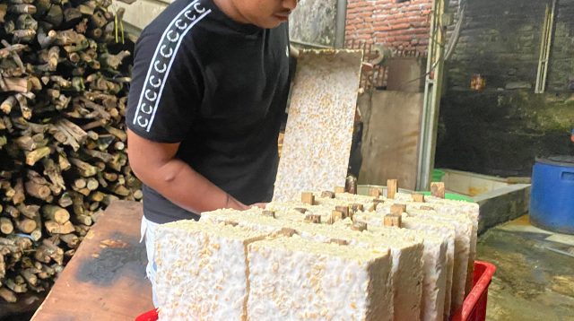 Harga Kedelai Melonjak, Perajin Tempe di Kota Batu Kian Terhimpit