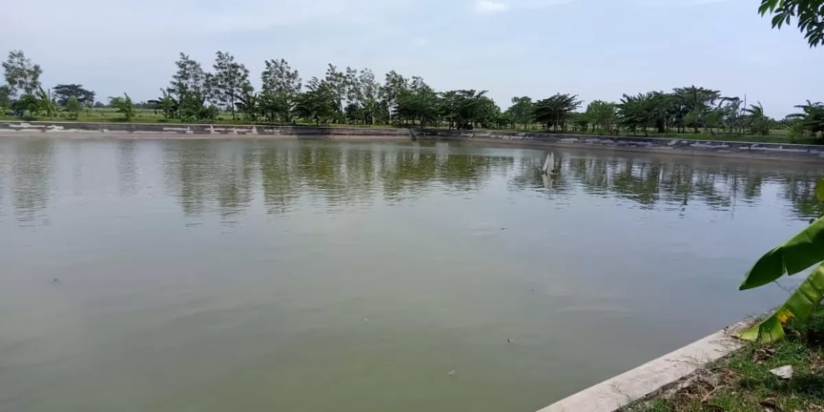 Musim Kemarau, Embung Dibutuhkan untuk Pengairan Pertanian