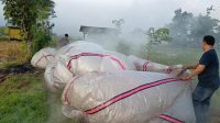 balon udara tulungagung