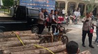 Polisi ungkap kasus ilegal logging dan ungkap kasus BBM.