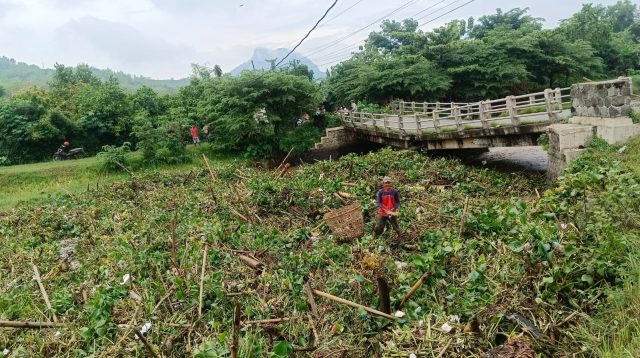 jembatan tulungagung