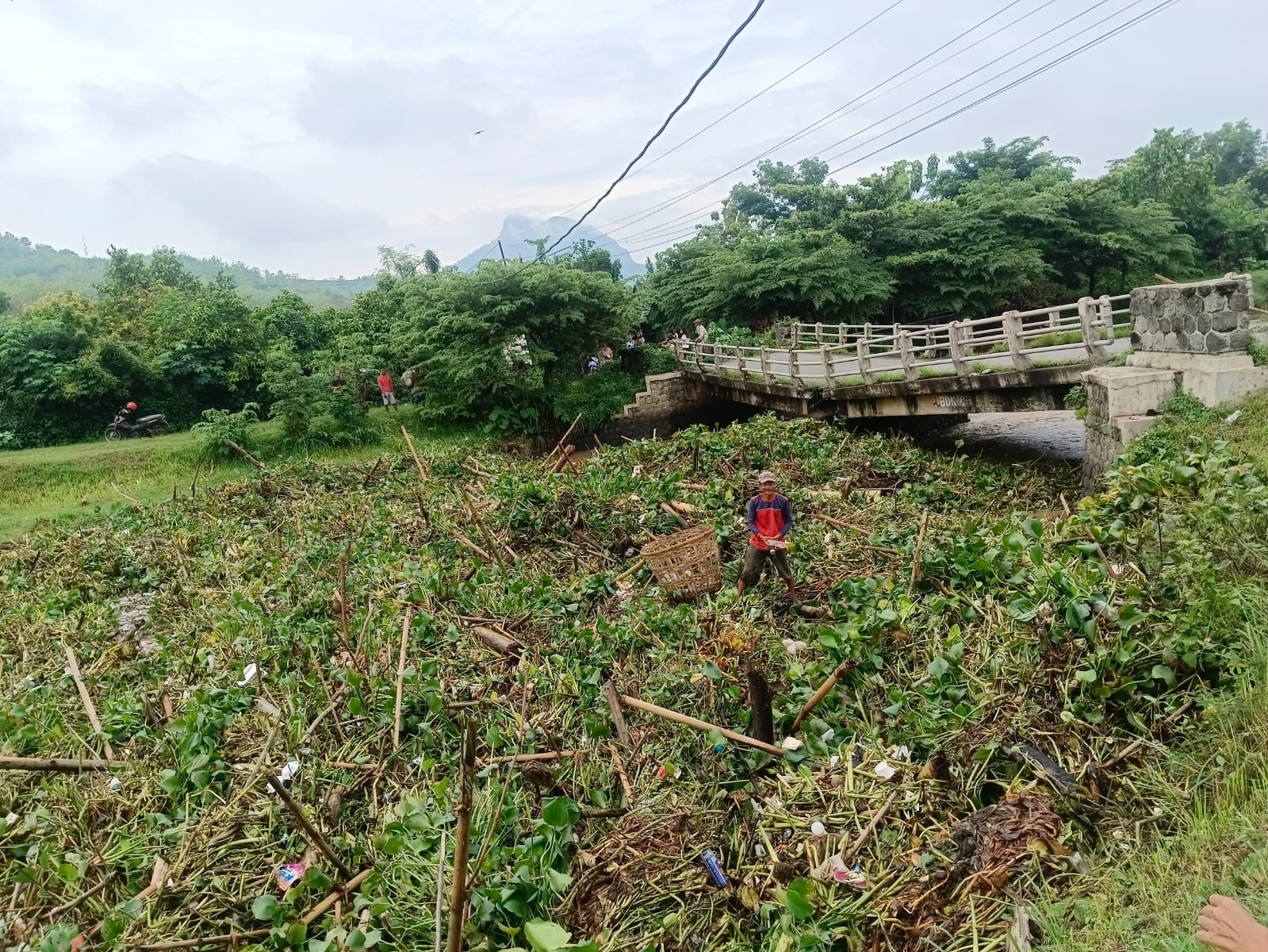 jembatan tulungagung