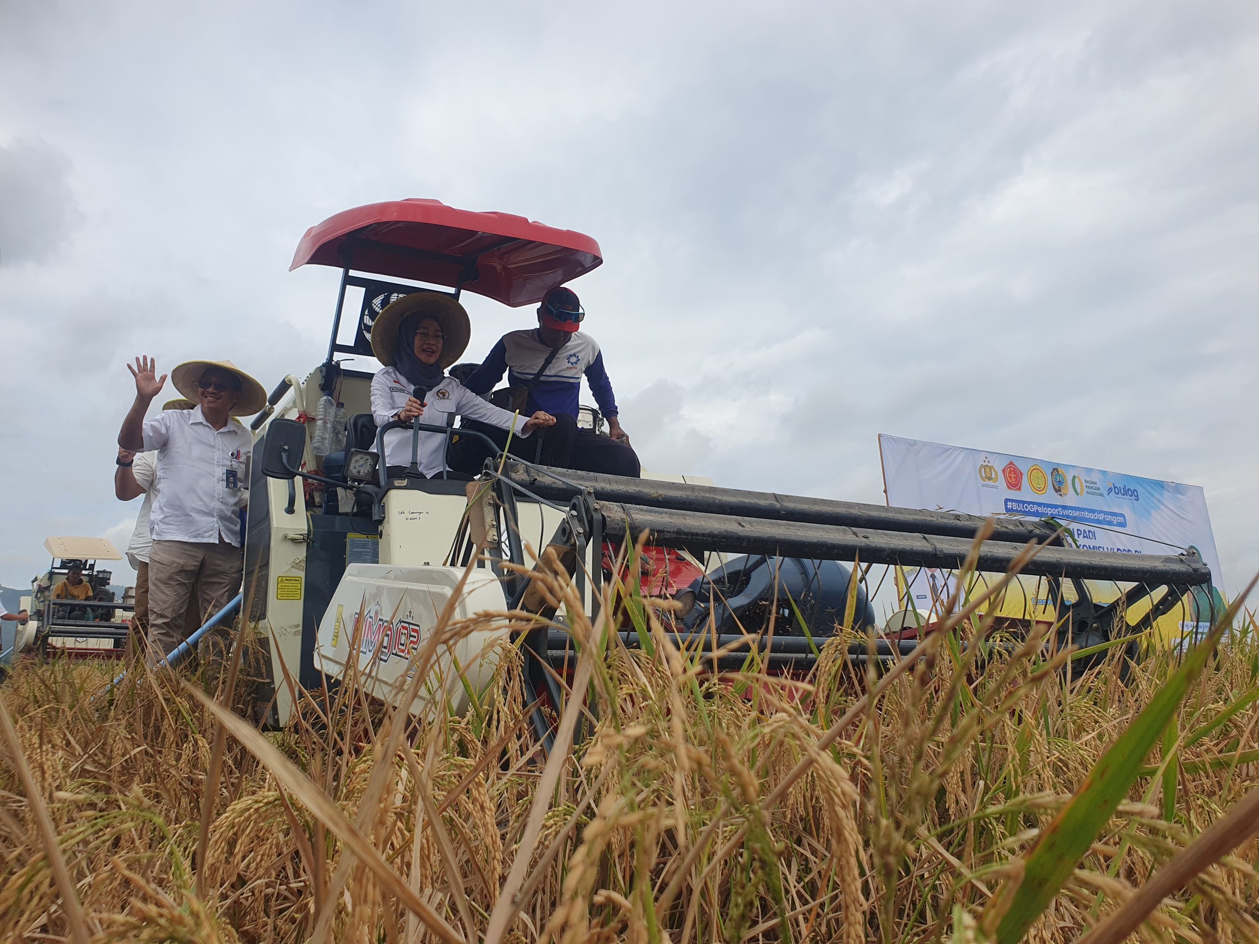 Kabupaten Tulungagung Sokong Stok Beras Nasional, Ini yang Dilakukan Perum Bulog