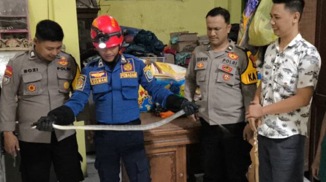 Petugas Polsek Sukodadi dan Damkar Lamongan mengevakuasi ular masuk ke rumah warga .
