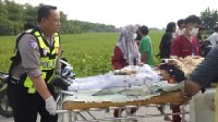 Petugas kepolisian dan medis mengevaluasi korban kecelakan di Jalan  umum jurusan Plembon-  Unisda.