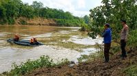 Proses pencarian terjadap korban Mustofa (45) yang terpeleset dan hanyut saat mencari ikan mabuk di Sungai Brantas.