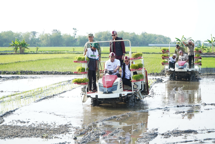 Menteri Bappenas dan Wamentan Tanam Padi di Lamongan, Dorong Hilirisasi dan Swasembada Pangan