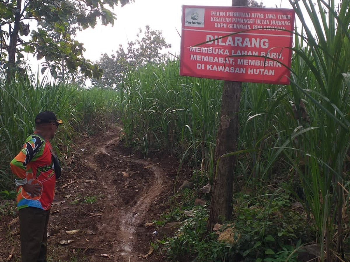 Plakat milik Perhutani larangan membuka lahan baru di wilayah hutan.
