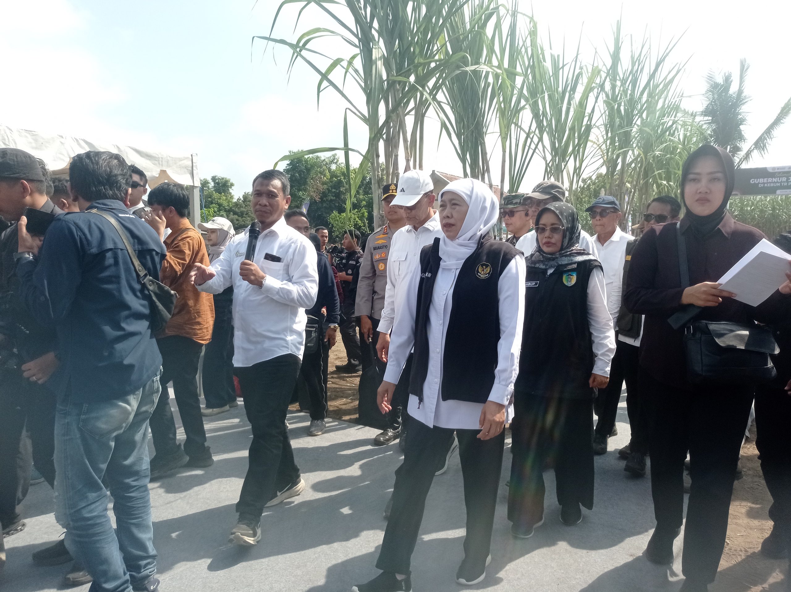 Gubernur Jatim Khofilah Indar Parawangsa awali tanam Perdana bongkar Raton tebu di Desa Ngletih.