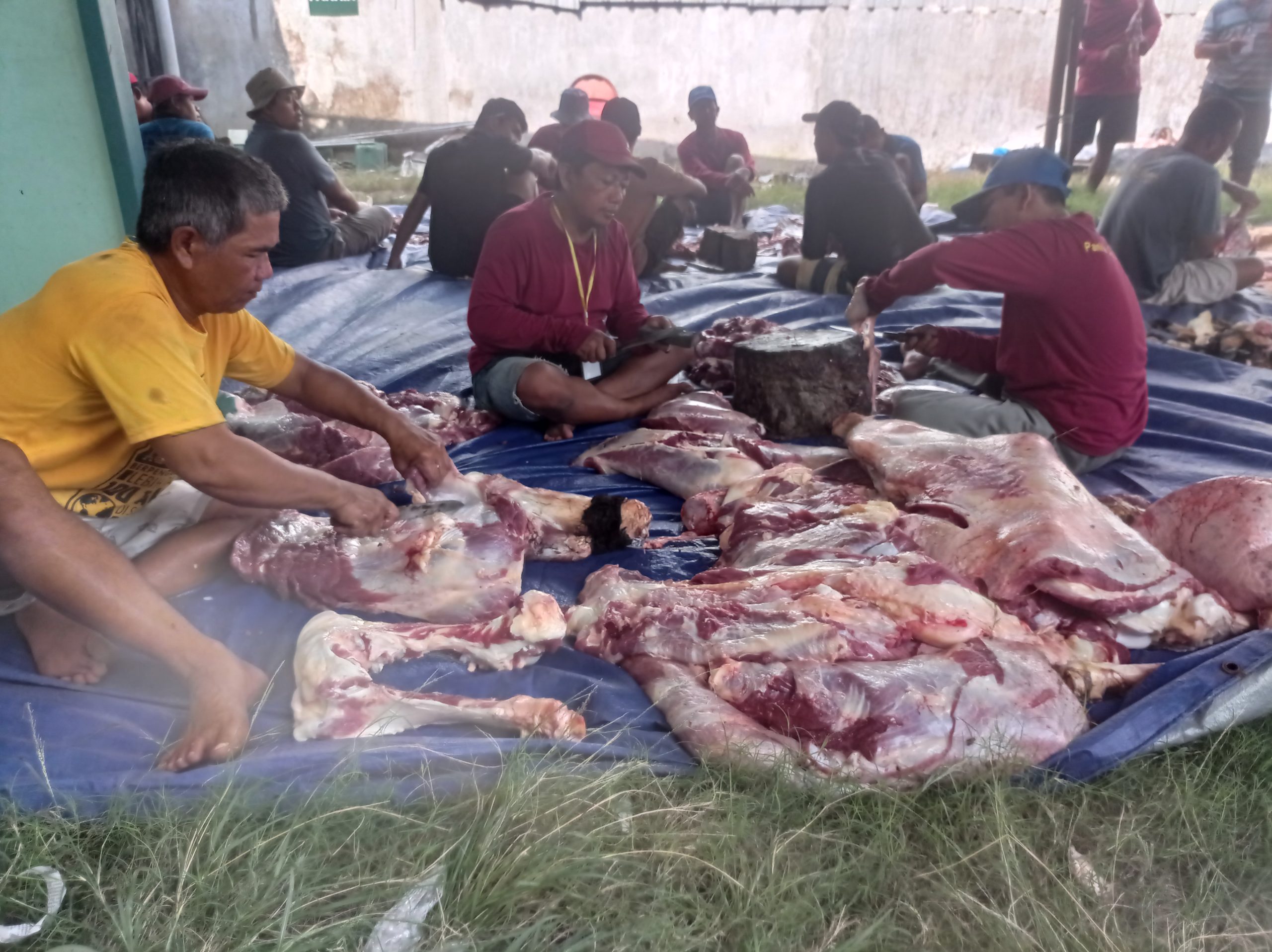 Masjid Ash Sholihin Ngasem Sembelih Hewan Kurban 8 Ekor Sapi dan 60 Ekor Kambing