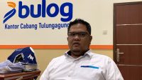 Bulog Tulungagung Mulai Salurkan Jagung SPHP untuk Peternak Ayam