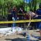 Identifikasi mayat perempuan tanpa identitas di Pantai Sine Tulungagung.