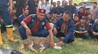 Ratusan Juleha saat mengikuti pelatihan penyembelihan kurban.