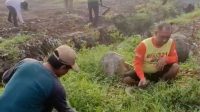 Warga Ringinrejo kerja bakti Jumat pagi.