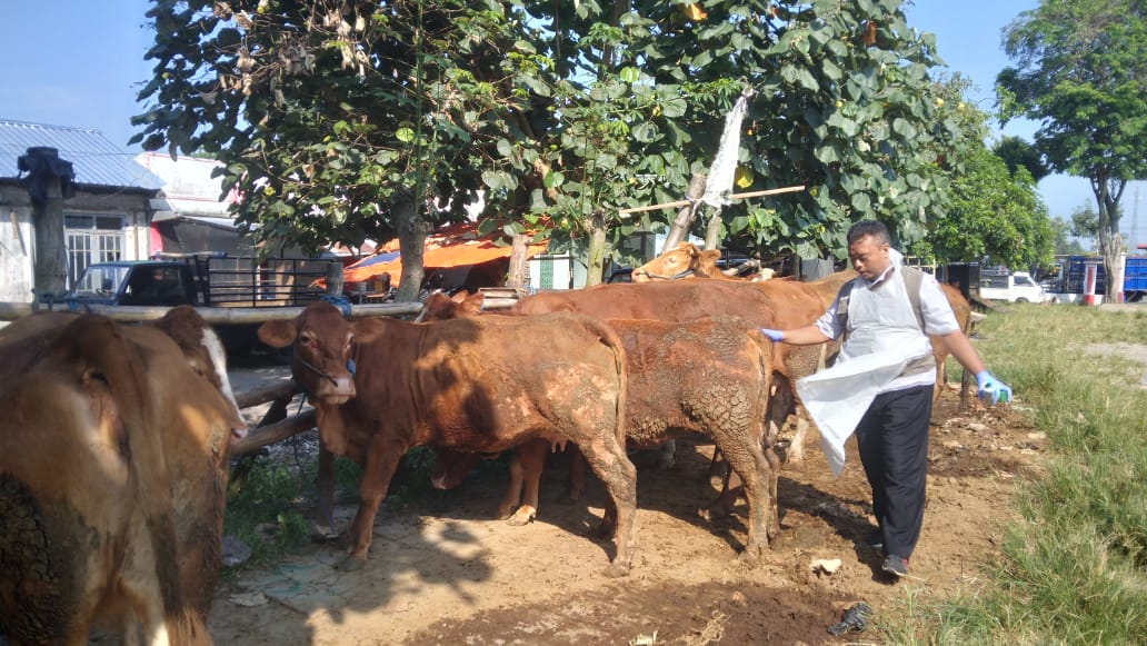 Suasana Pasar Hewan Dimoro di Kelurahan Kauman, Kecamatan Kepanjenkidul, Kota Blitar.