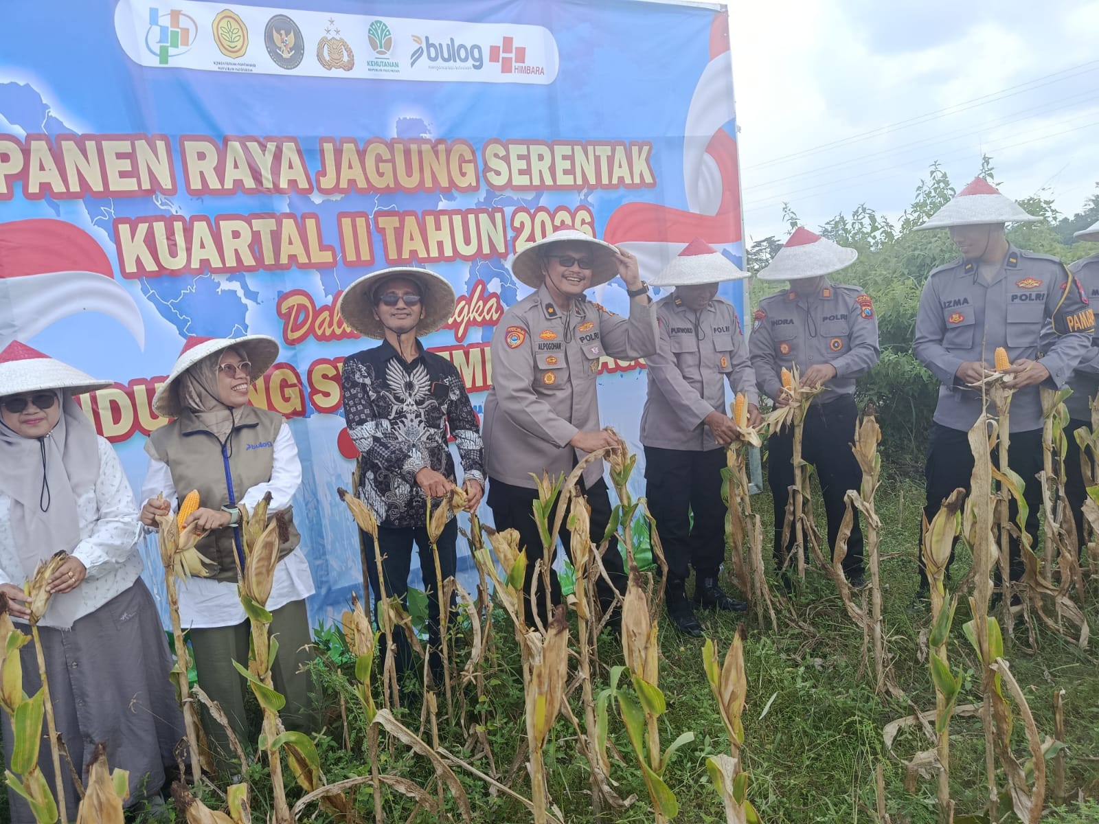 Panen raya jagung di Kabupaten Blitar.