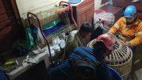 Petugas Pemadam Kebakaran dan Penyelamatan BPBD Kabupaten Jombang akhirnya berhasil evakuasi seekor monyet peliharaan lepas dari kandang yang membuat resah Dusun Kupang, Desa Tebel, Kecamatan Bareng, Kabupaten Jombang, Selasa (2/6/2026) kemarin sore.