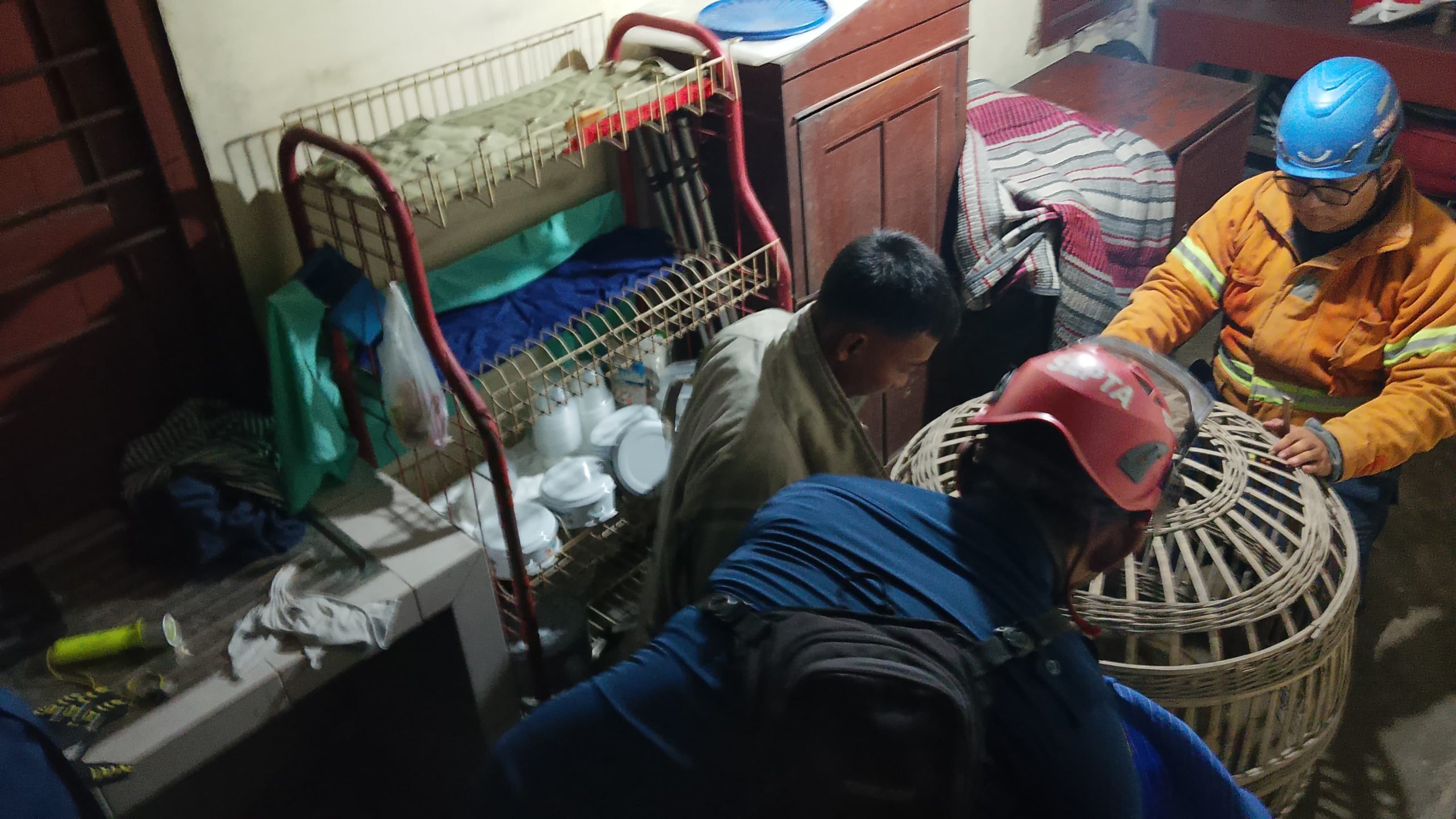 Petugas Pemadam Kebakaran dan Penyelamatan BPBD Kabupaten Jombang akhirnya berhasil evakuasi seekor monyet peliharaan lepas dari kandang yang membuat resah Dusun Kupang, Desa Tebel, Kecamatan Bareng, Kabupaten Jombang, Selasa (2/6/2026) kemarin sore.