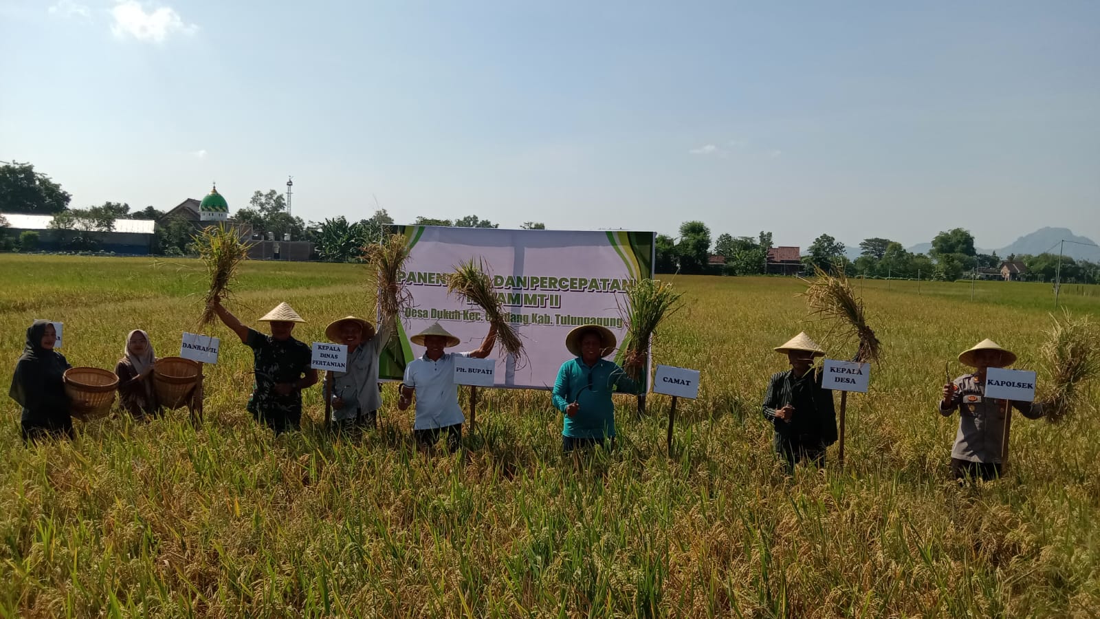 Kegiatan Labuh Masal di Desa Dukuh, Kecamatan Gondang, Tulungagung yang dimulai dengan kegiatan panen secara simbolik.
