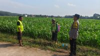Bhabinkamtibmas Kembangarum Sambangi Petani Jagung, Dukung Program Ketahanan Pangan Nasional