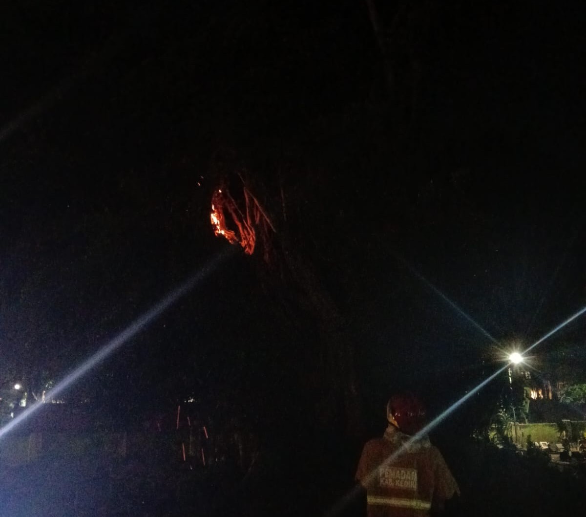 Pohon Beringin Keramat di Kuburan Ngasem Terbakar