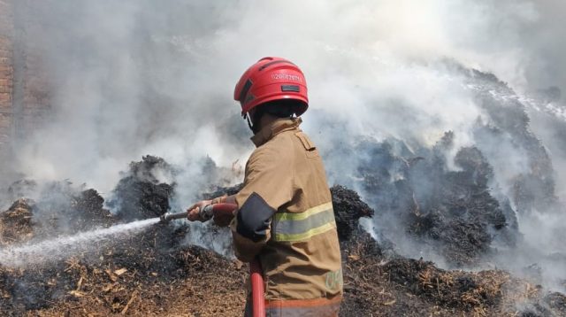 Petugas Damkar Ngadiluwih padamkan api di sisa sepah tebu di Desa Slumbung Ngadiluwih Minggu siang.
