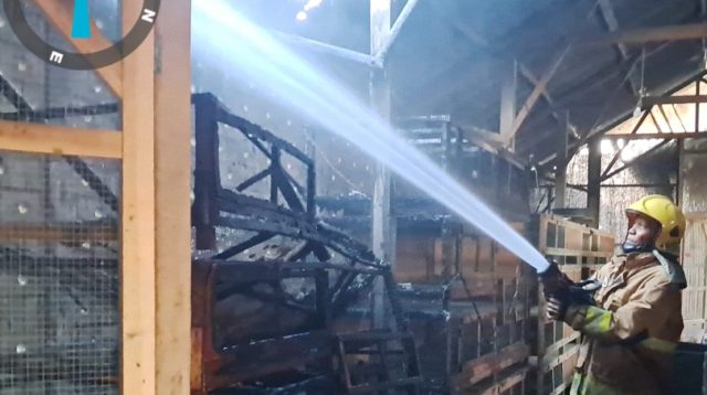 Korsleting Listrik, Kandang Puyuh Terbakar, Kerugian Rp25 Juta