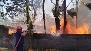 Karhutla Dominasi, Damkar Ponorogo Tangani 18 Kebakaran Selama Juli 2026