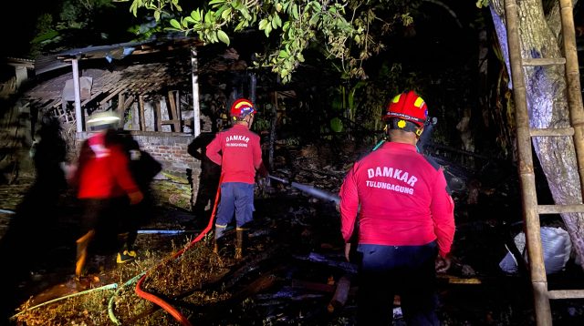 Dalam Semalam, Dua Kandang Ternak di Tulungagung Ludes Terbakar, Kerugian Capai Rp400 Juta