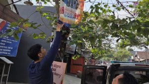 Petugas Satpol PP Tulungagung saat melakukan penertiban papan reklame yang dipasang di pohon.