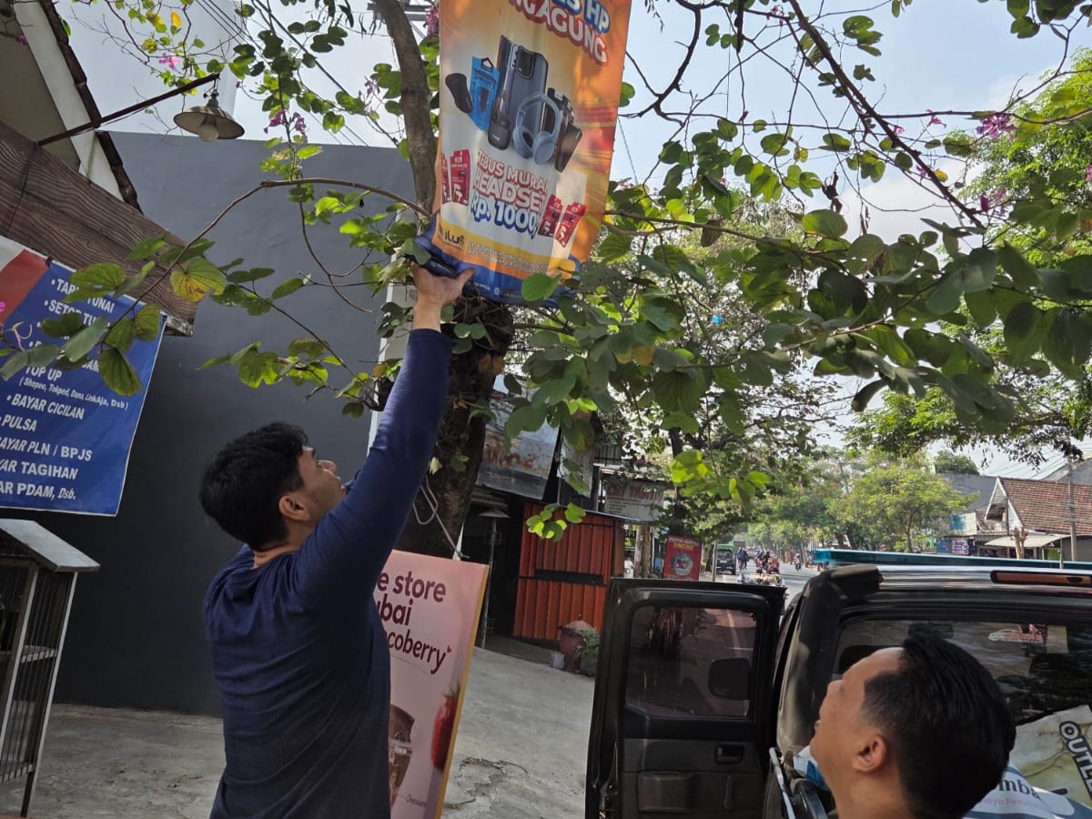 Petugas Satpol PP Tulungagung saat melakukan penertiban papan reklame yang dipasang di pohon.