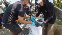 Sampah Ratusan Kilogram Sampah Terkumpul dalam 60 Menit di Pantai Sidem Tulungagung