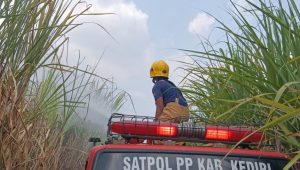 Petugas Damkar Pos Ngadiluwih padamkan lahan tebu di Rembang Ngadiluwih minggu pagi.