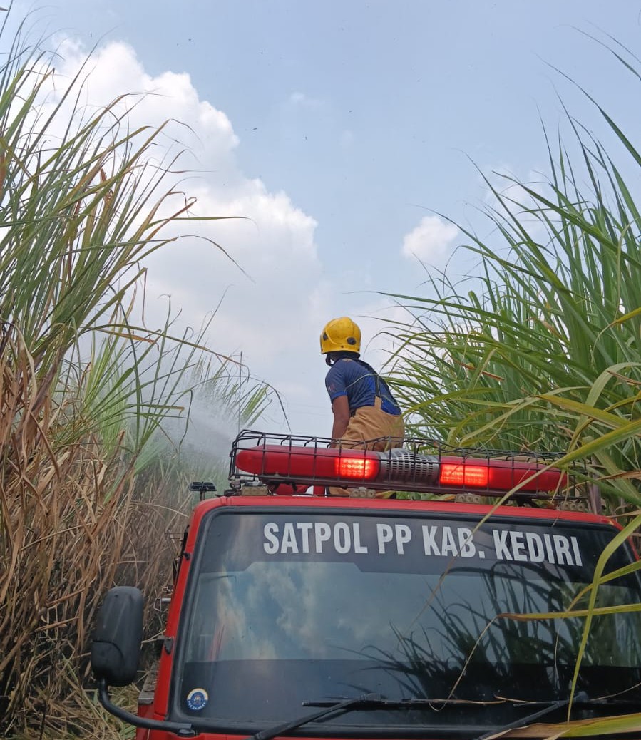 Petugas Damkar Pos Ngadiluwih padamkan lahan tebu di Rembang Ngadiluwih minggu pagi.