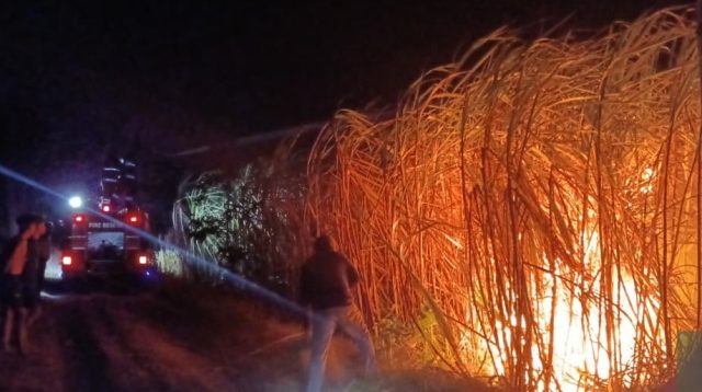 Gara - gara ini Lahan Tebu di Sumber Lumbu Kunjang Terbakar