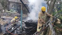 Petugas Damkar Ngadiluwih padamkan api yang membakar tumpukan kayu di Kraton Mojo Senin siang.