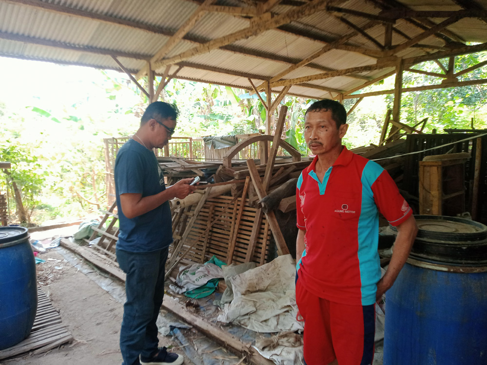Sapi Program UPPO Poktan Bina Usaha Mandiri Lenyap Tak Berbekas, hanya Tersisa Kandang