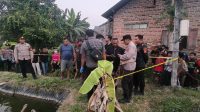 Dua Hari Tak Pulang, Warga Ringinrejo Kediri Ditemukan Mengapung di Kolam Ikan Koi