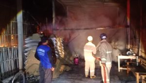 Kondisi kandang ayam yang terbakar hingga merugi Rp 1 miliar.