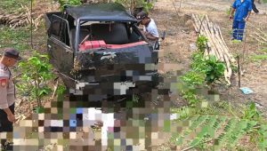 Petugas medis saat evakuasi korban dari dasar jurang.