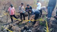 mayat di kebun tebu Petugas melakukan pemeriksan dan identifikasi terhadap kerangka manusia.