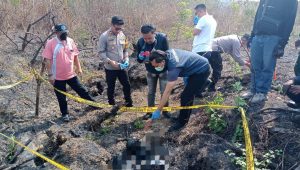 Petugas melakukan pemeriksan dan identifikasi terhadap kerangka manusia.