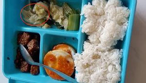 Tangkapan layar video penerima manfaat saat memperlihatkan terdapat ulat di menu MBG kelompok 3B (ibu hamil, ibu menyusui, dan balita) di Dusun Ngelo, Desa Gondek, Kecamatan Mojowarno, Jombang, Kamis (24/9/2026).