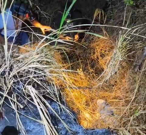 Tangkapan layar video ketika seorang warga pencari burung saat menemukan lansia 96 tahun yang terpelosok di hutan Dusun Candi Kidul, Desa Sumbernongko, Kecamatan Ngusikan, Kamis (24/9/2026) malam.