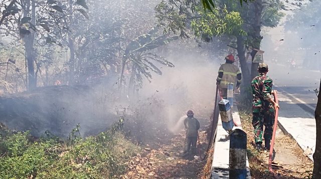 Petugas Pemadam Kebakaran (Damkar) dari BPBD Jombang saat memadamkan api yang membakar lahan tebu di Dusun Kedungwesi, Desa Talunkidul, Kecamatan Sumobito, Kabupaten Jombang, Jumat (25/9/2026).