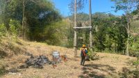 Petugas PLN saat mengecek lokasi pencurian trafo.