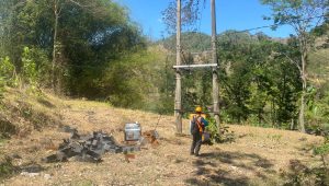 Petugas PLN saat mengecek lokasi pencurian trafo.